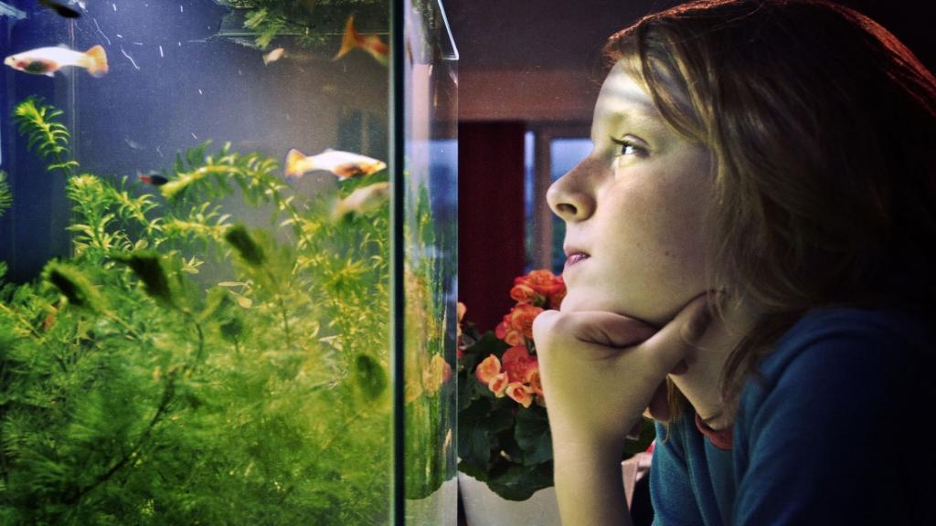 Mise à jour 2022 de la liste des 14 meilleurs magasins d'aquarium à Dubaï avec adresse