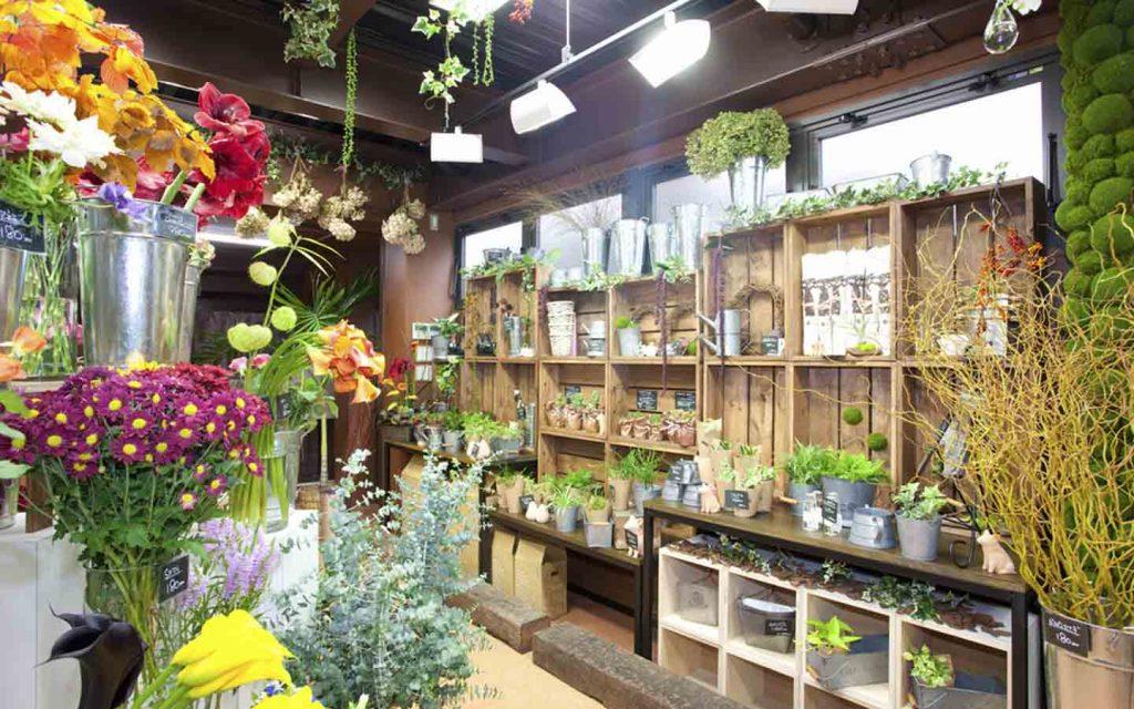 Boutique de plantes
