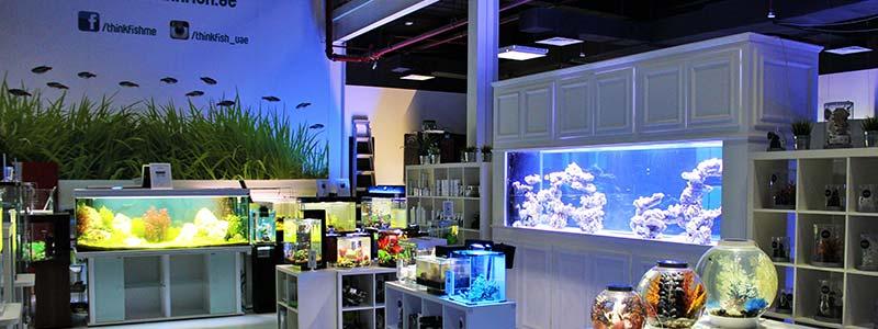 فروشگاه "Think Fish"، یکی از بهترین فروشگاه ‌های آکواریوم در دبی