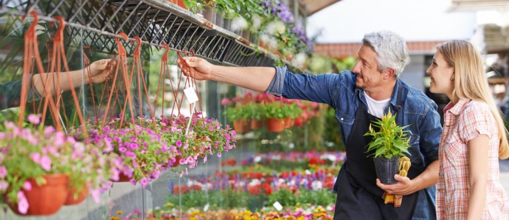 از کجا در دبی گیاهان بخریم - 15 بهترین فروشگاه برای خرید گیاهان در دبی