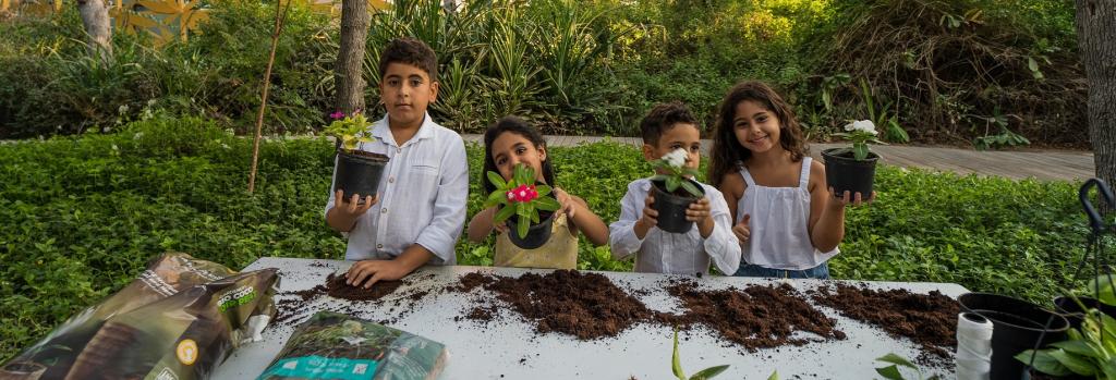  Ein vollständiger Leitfaden für die Insel Al Noor, Sharjah 