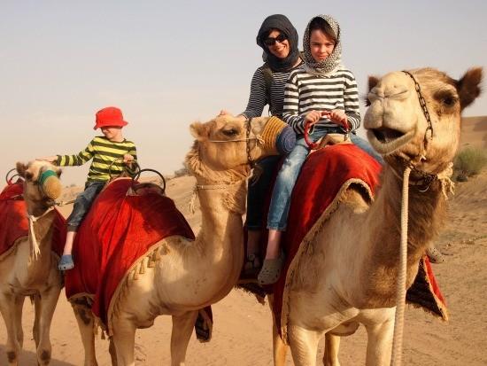 Everything About Sharjah Desert Park for a First-Time Visitor