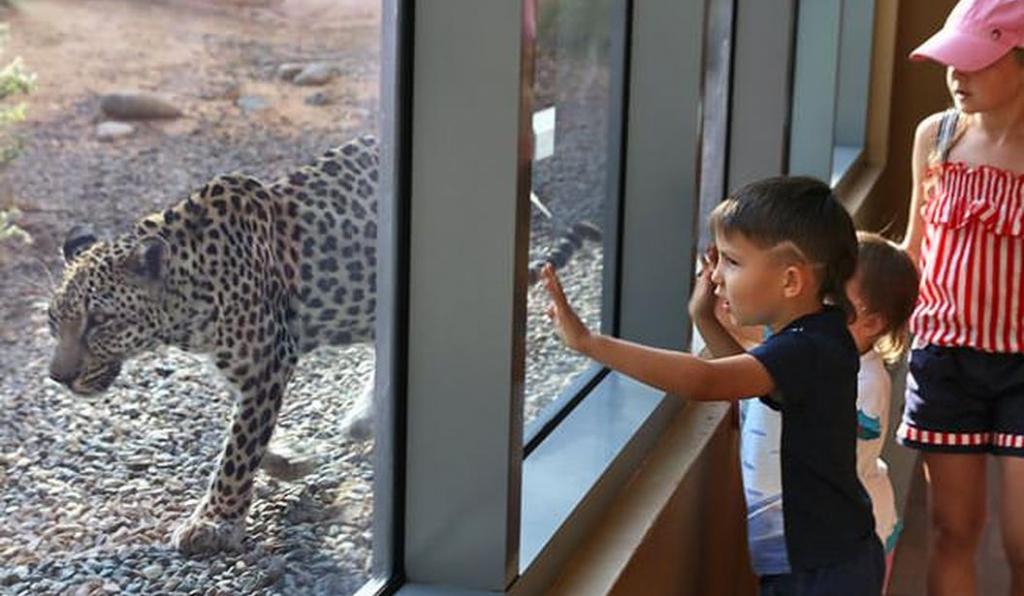 Everything About Sharjah Desert Park for a First-Time Visitor