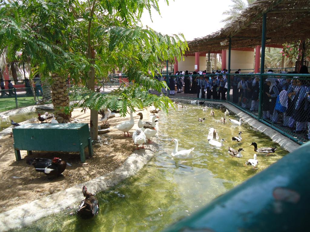 Tutto su Sharjah Desert Park per un visitatore per la prima volta