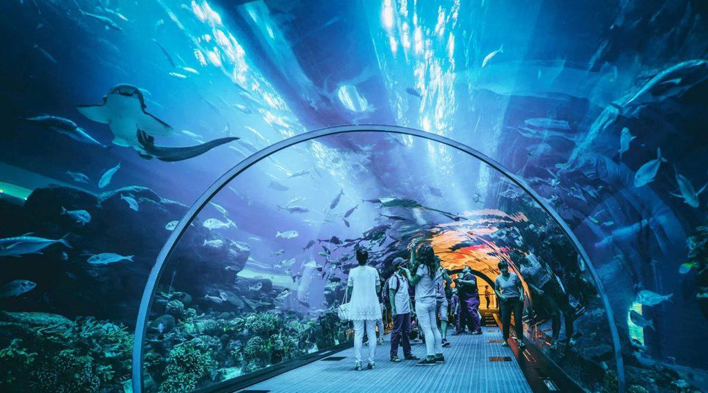 Vollständiger Leitfaden zum Sharjah Aquarium im Jahr 2022