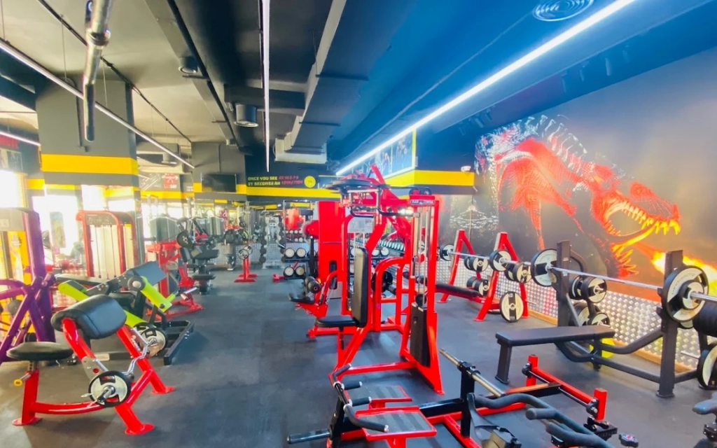 Energy Zone Fitness Muwaileh, Sharjah.