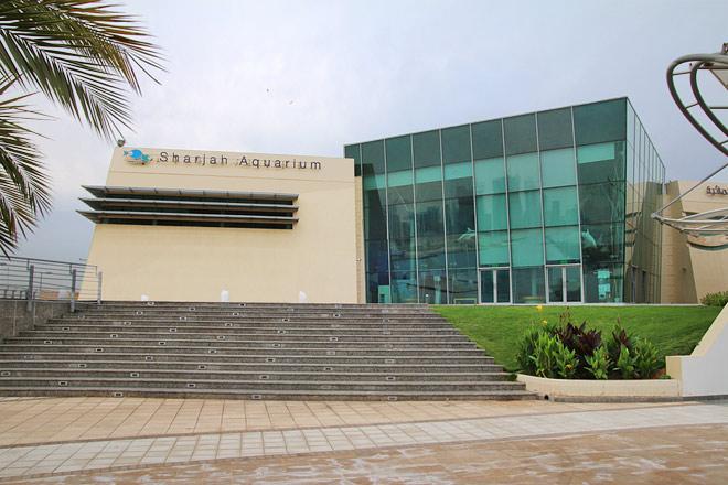 Complete guide on Sharjah Aquarium in 2022 