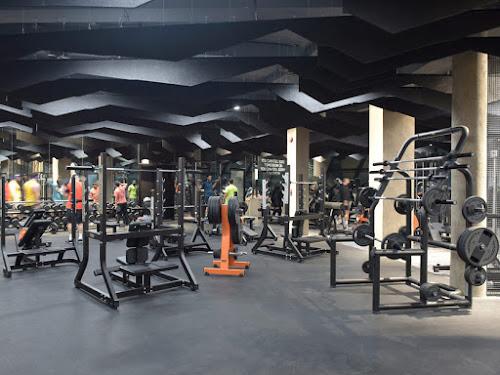 Best Gyms in Sharjah to keep you in shape 