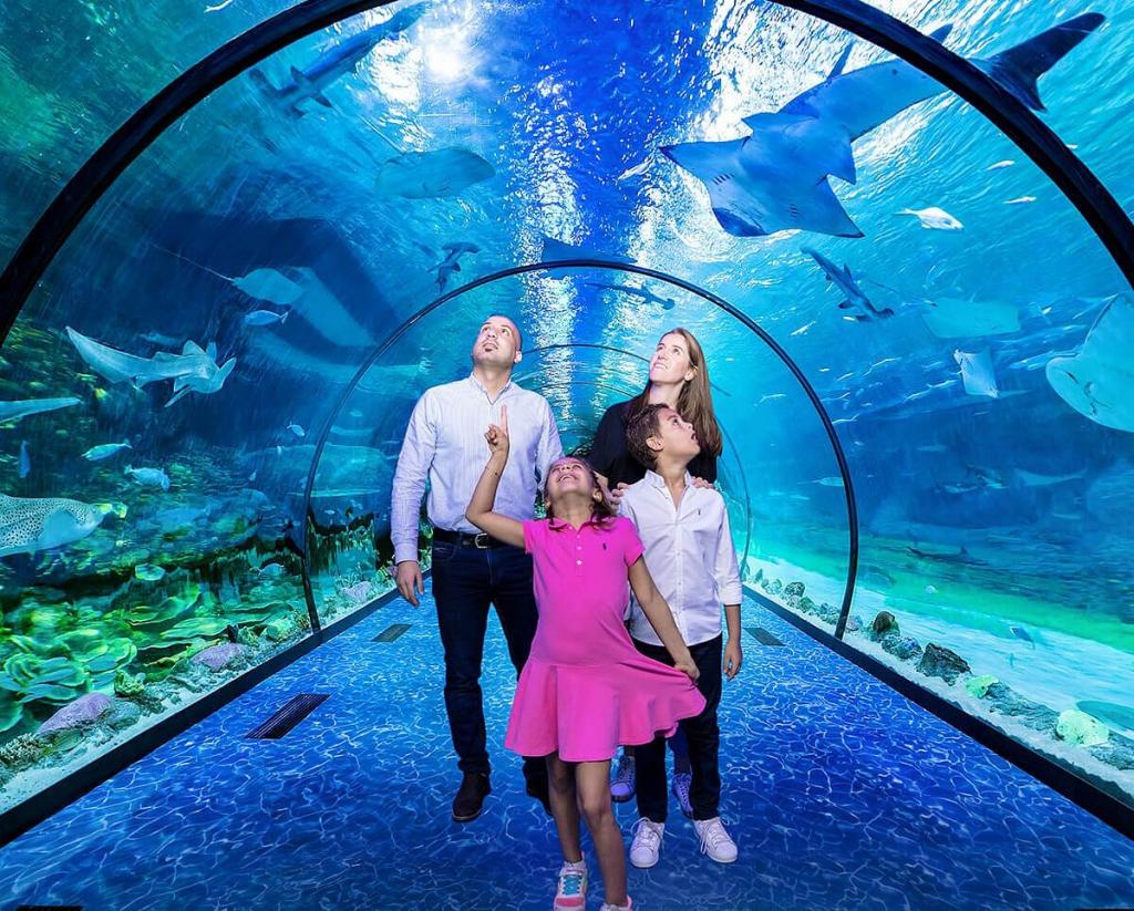 Guida completa sull'Acquario di Sharjah nel 2022 