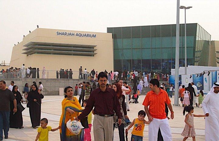 2022'de Sharjah Akvaryumu hakkında eksiksiz rehber 