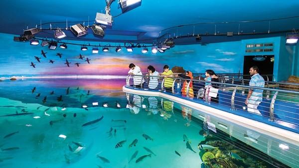 Vollständiger Leitfaden zum Sharjah Aquarium im Jahr 2022 