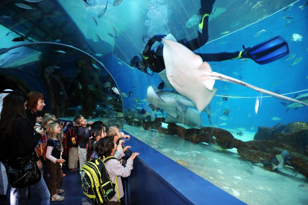 Vollständiger Leitfaden zum Sharjah Aquarium im Jahr 2022 