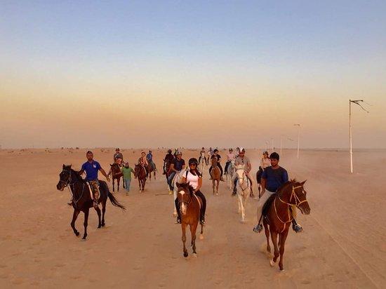 Top Places for Horse Riding Lessons in Dubai